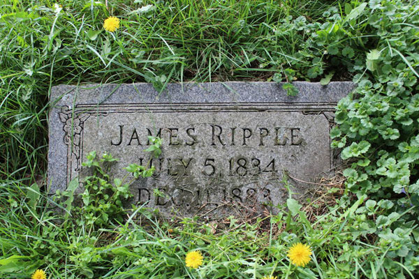 James Ripple grave