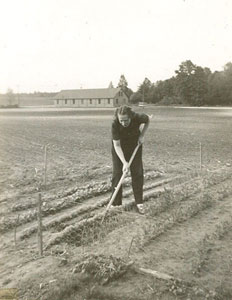 Kate working garden